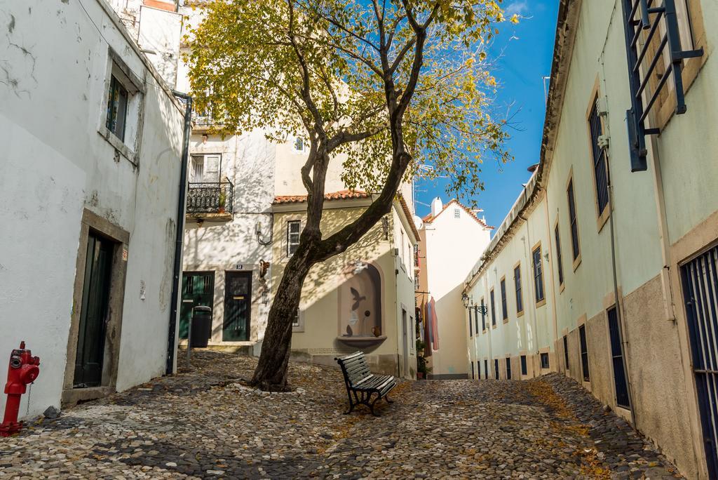 Little Duplex In Alfama Apartment ลิสบอน ภายนอก รูปภาพ